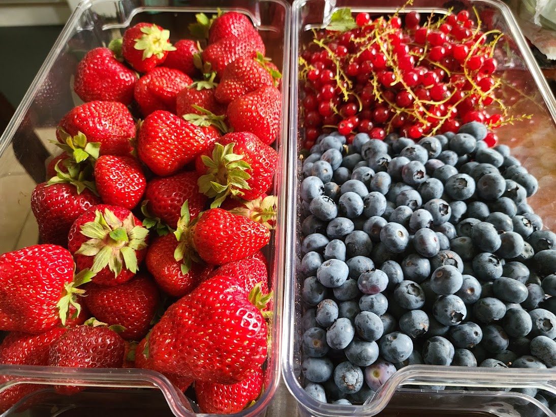 strawberries blueberries currants